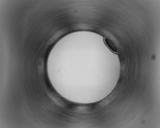 X0000100410158200807032046