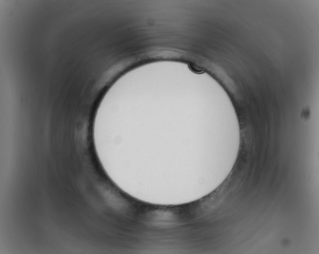 X0000100410159200807032046
