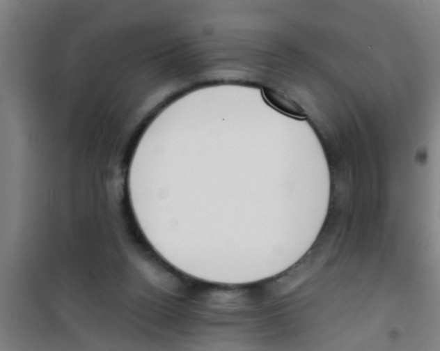 X0000100410160200807032046