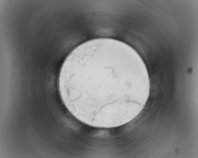 X0000100410162200807032046