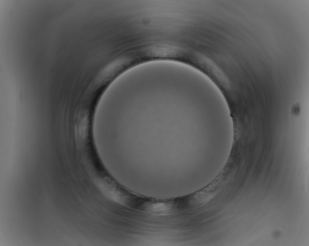 X0000100410163200807032046