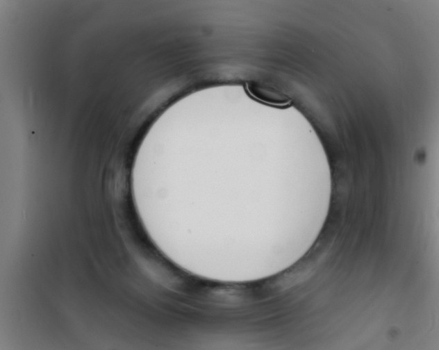 X0000100410164200807032046