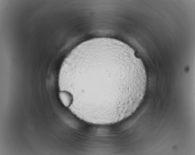 X0000100410165200807032046
