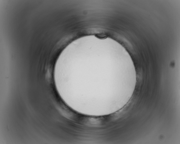 X0000100410166200807032046