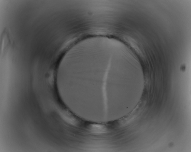 X0000100410167200807032046