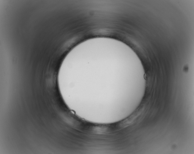 X0000100410168200807032046
