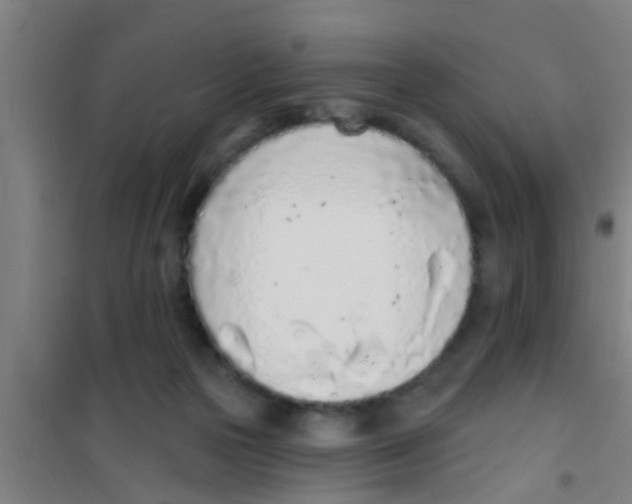 X0000100410169200807032046