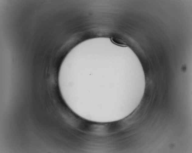 X0000100410170200807032046