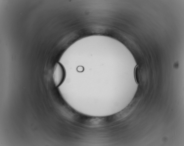 X0000100410172200807032046