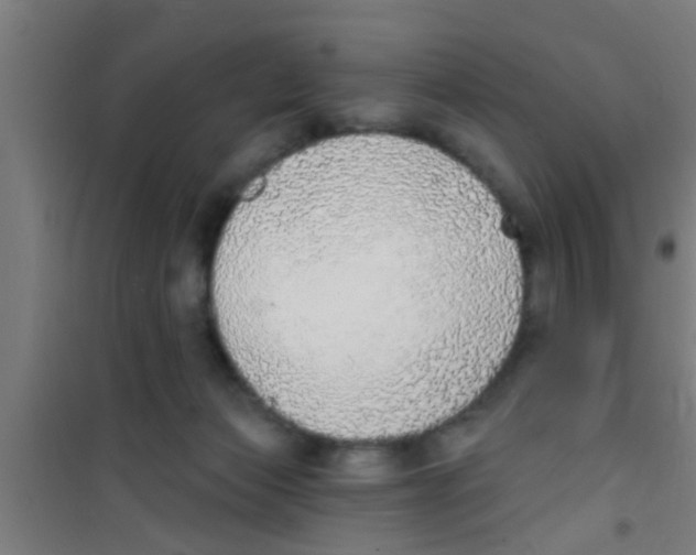 X0000100410173200807032046