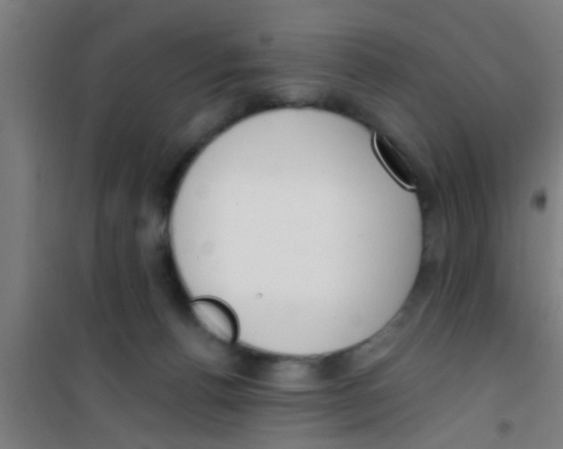 X0000100410176200807032046
