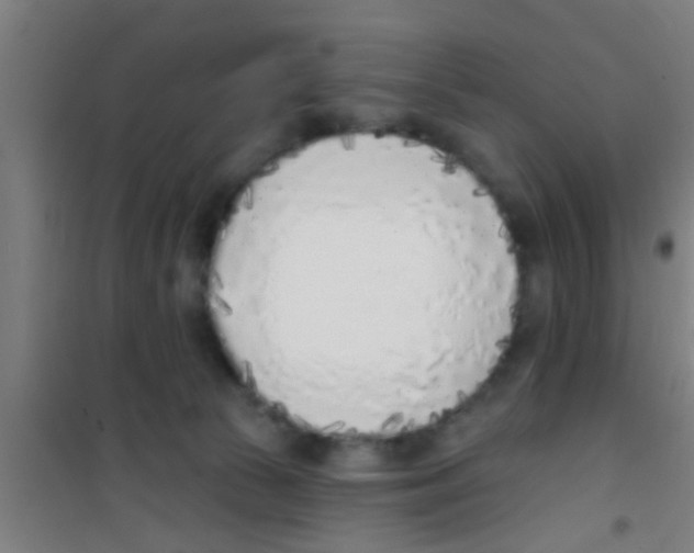 X0000100410177200807032046