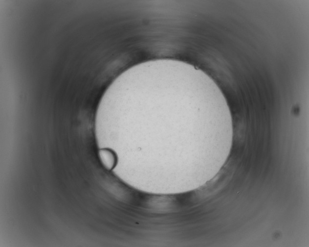 X0000100410179200807032046