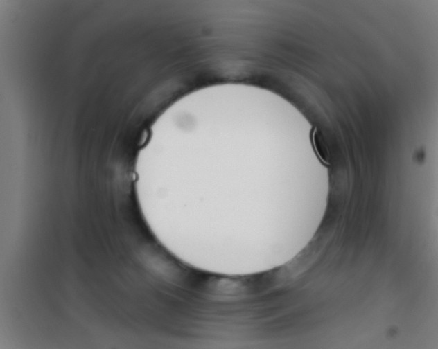X0000100410180200807032046