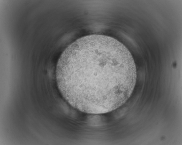 X0000100410181200807032046
