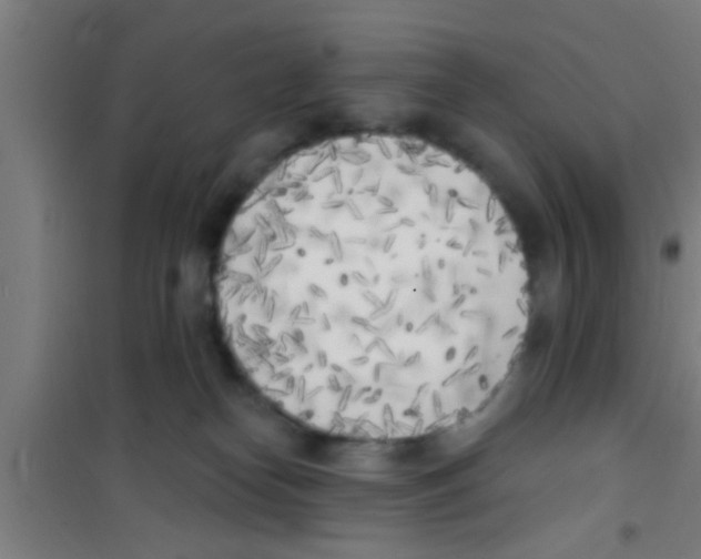 X0000100410182200807032046