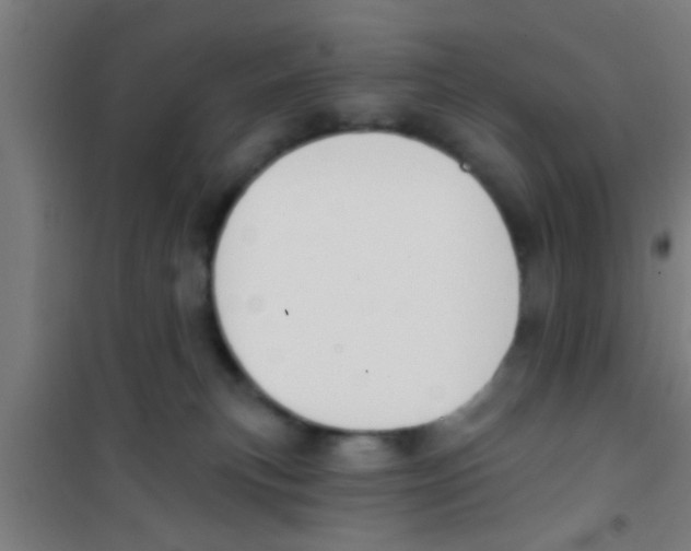 X0000100410183200807032046