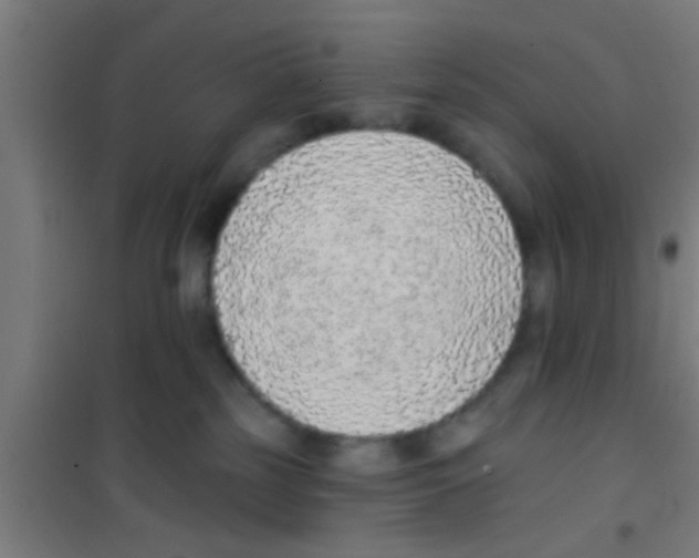 X0000100410185200807032046