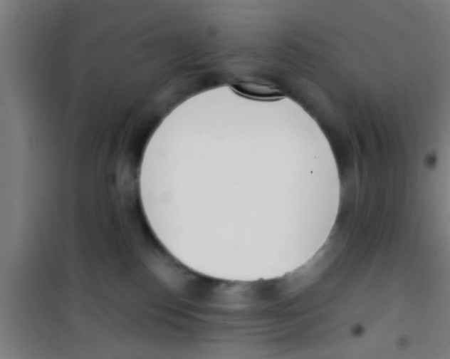 X0000100410186200807032046