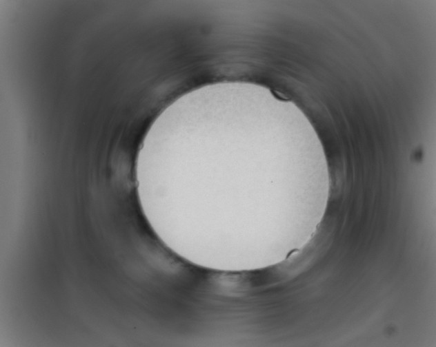 X0000100410187200807032046