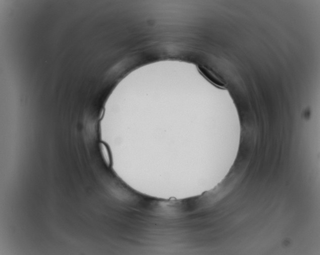 X0000100410188200807032046
