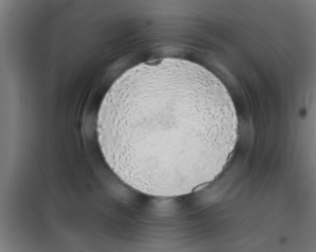 X0000100410189200807032046