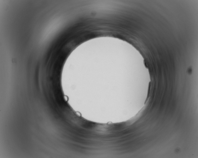 X0000100410190200807032046