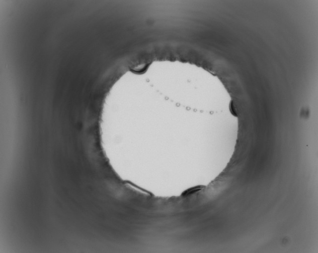X0000100410192200807032046