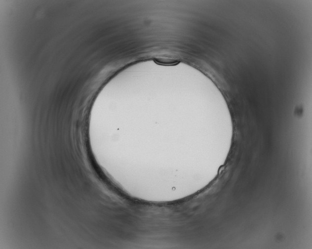 X0000100410193200807032046