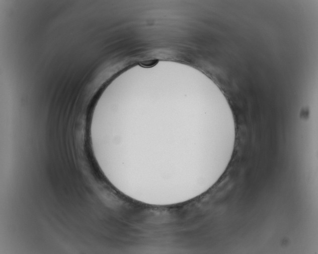 X0000100410194200807032046
