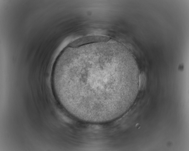 X0000100410195200807032046