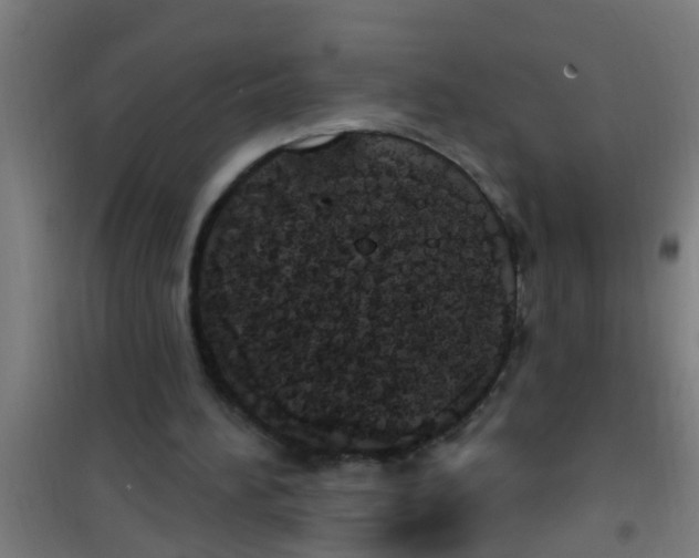 X0000100410196200807032046