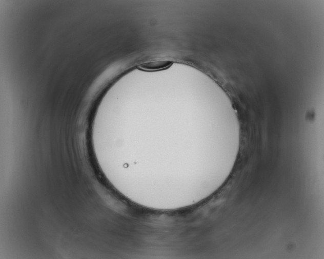 X0000100410197200807032046