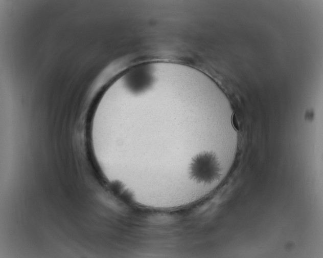 X0000100410198200807032046