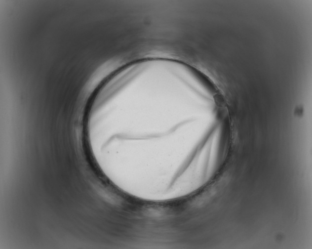 X0000100410199200807032046