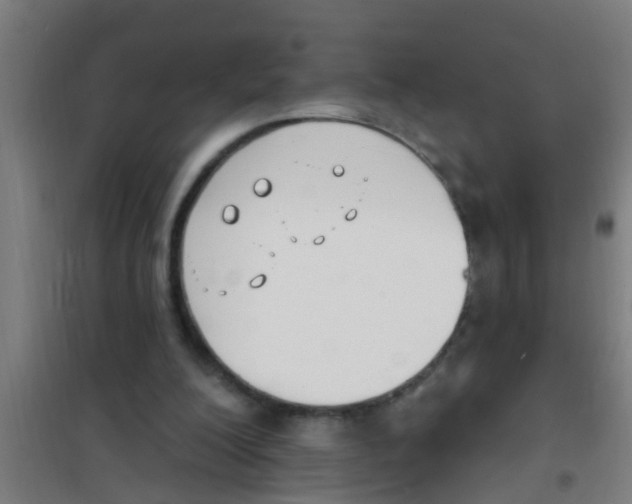 X0000100410200200807032046