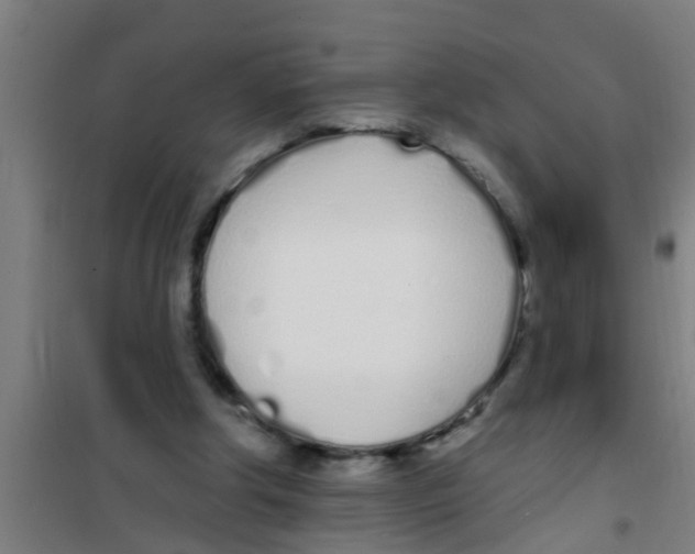 X0000100410202200807032045