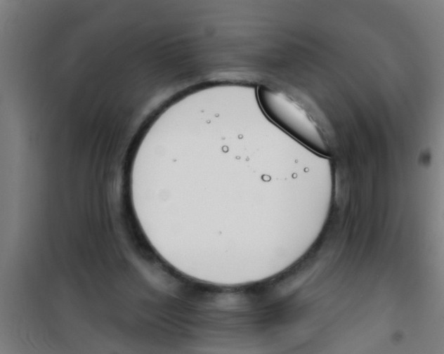 X0000100410204200807032045