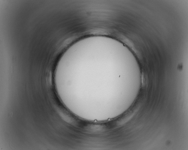 X0000100410205200807032045