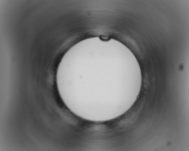 X0000100410210200807032045