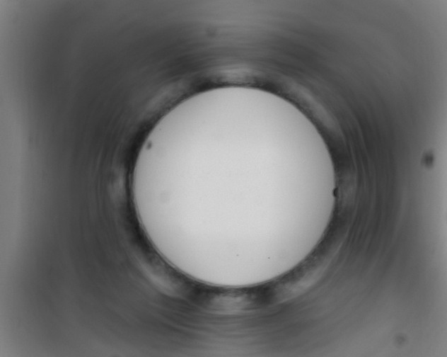 X0000100410213200807032045