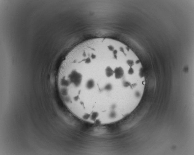 X0000100410214200807032045
