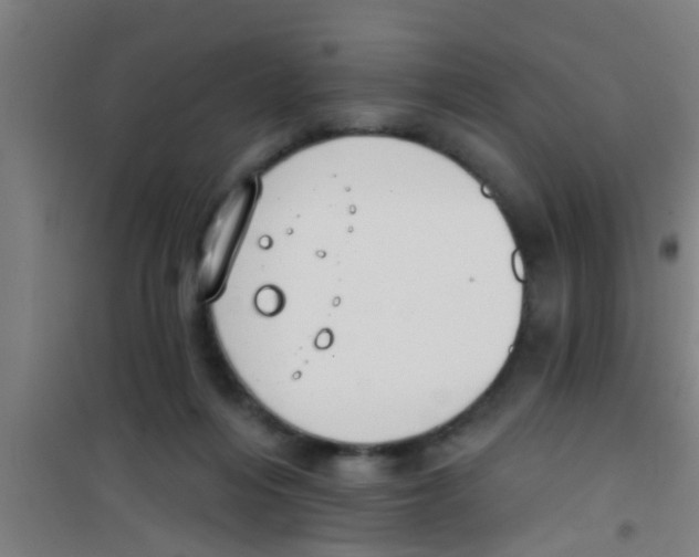 X0000100410216200807032045
