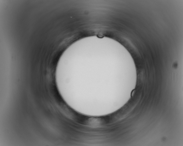 X0000100410218200807032045