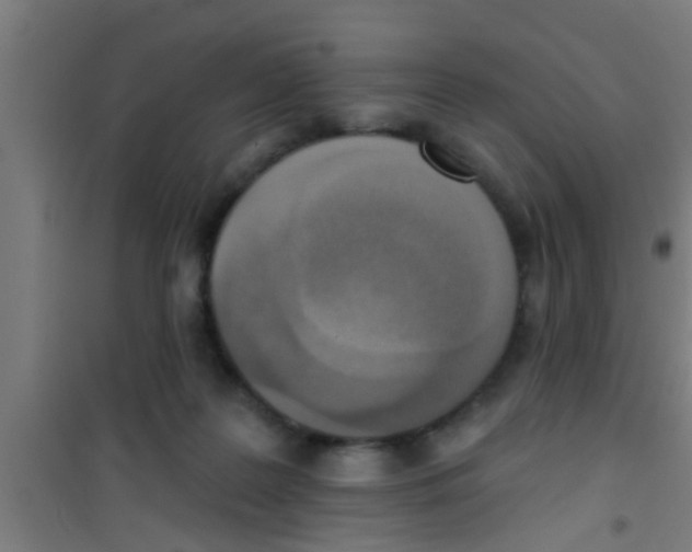 X0000100410219200807032045