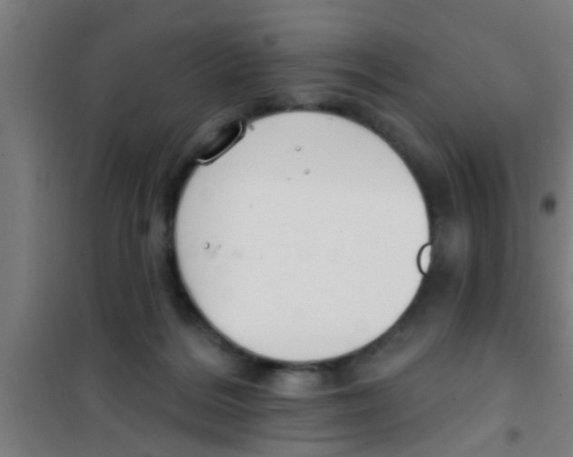 X0000100410220200807032045