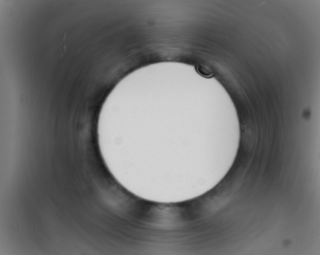 X0000100410221200807032045