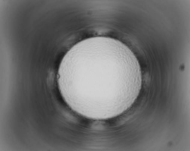X0000100410222200807032045