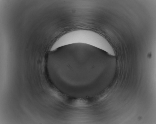 X0000100410223200807032045