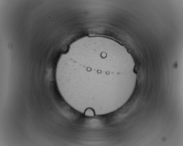 X0000100410224200807032045